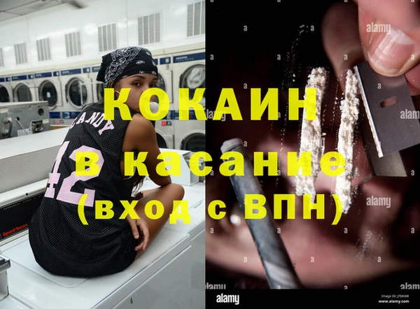 бошки Каменка