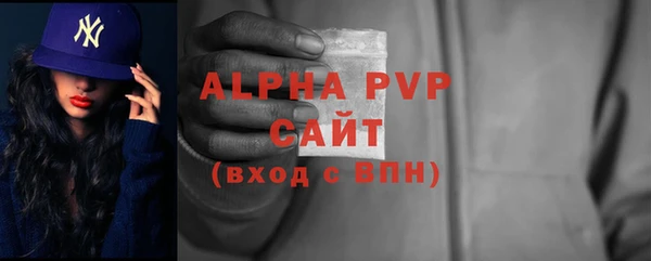 a pvp Инсар
