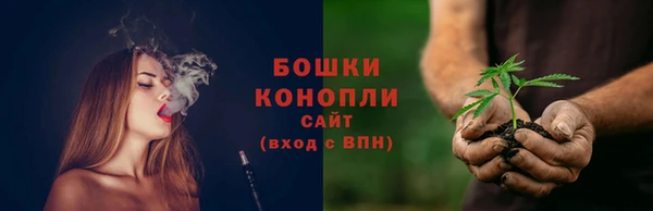 спайс Инта