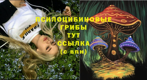 СК Каменск-Шахтинский