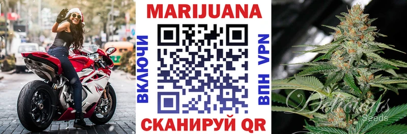 где купить   блэк спрут как войти  Канабис тримм  Исилькуль 